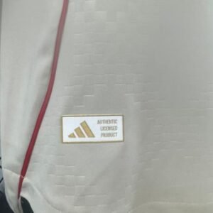 Benfica Authentic Soccer Jersey Away Shirt 2025/26