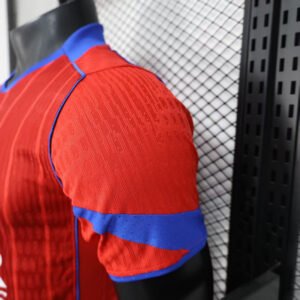 Authentic Soccer Jersey PSG Third Away Shirt 2025/26