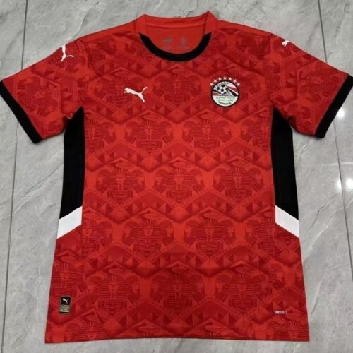 Egypt Soccer Jersey Home Custom Shirt 2024-25